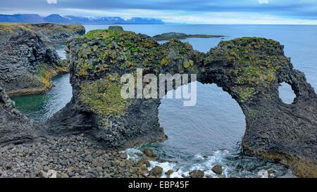 rocky coast with arch from lava near Arnarstapi, Iceland, Snaefellsness Stock Photo
