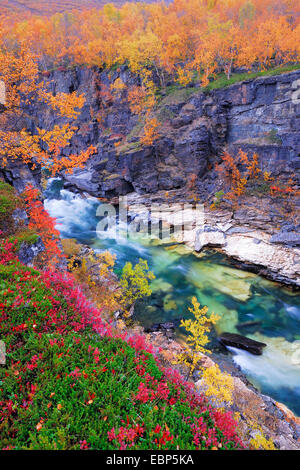 autumn scenery in the Abisko-Canyon with Abiskojakka River, Sweden, Lapland, Abisko National Park, Norrbotten Stock Photo