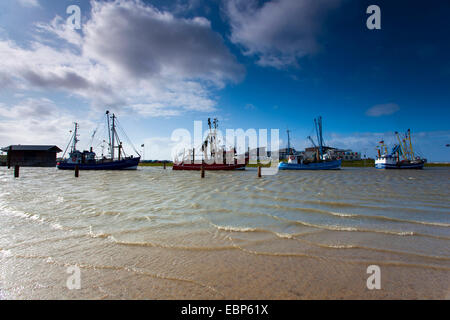 row of fishing cutters in the harbour, Germany, Lower Saxony, Dorum-Neufeld Stock Photo