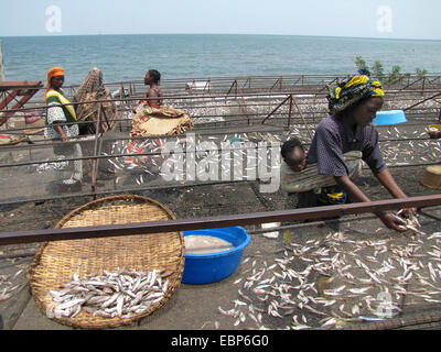 women are sorting out fish which has been captured by fishermen in the Lake Kivu, Rwanda, Gisenyi Stock Photo