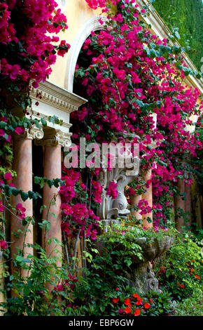 paper plant, four-o'clock (Bougainvillea-Hybride), replicas of antique collums and statues in the garden of the Villa Ephrussi de Rothschild overgrown by blooming flowers, France, Saint-Jean-Cap-Ferrat Stock Photo