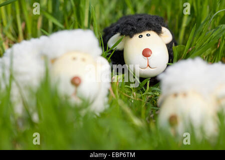 two white soft toy sheeps and one black in high grass Stock Photo