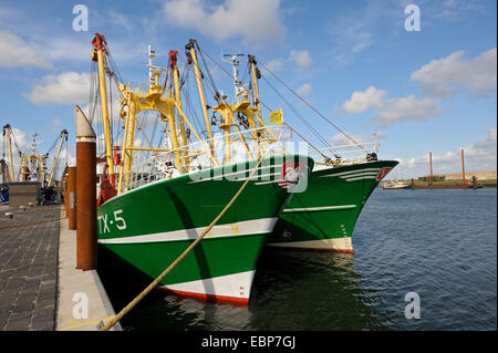 fishing ships in the harbour, Netherlands, Northern Netherlands, Netherlands, Texel Stock Photo