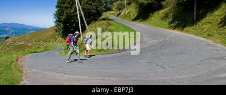 two pilgrims on pilgrims' path in the Pyrenees, way between zwischen St. Jean Pied de Port nach Roncesvalles, NOT AVAILABLE FOR USE IN ADVERTISEMENT, France, PyrÚnnÚes-Atlantiques, Basque country, Basse Navarre Stock Photo