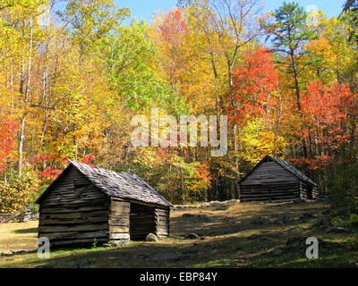 Alex Cole farm log cabins on Roaring Fork Motor Nature Trail in autumn in Great Smoky Mountains National Park Stock Photo