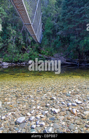 Footbridge over the Franklin River near the start of the bushwalking trail to Frenchmans Cap Stock Photo