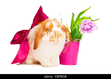 Cute bunny with red silk bow near pink pot Stock Photo