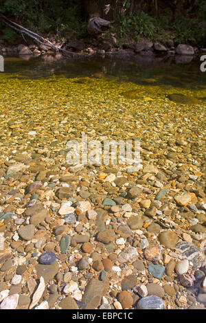 Pebbles on the river bed in a shallow part of a river. Just a few ...
