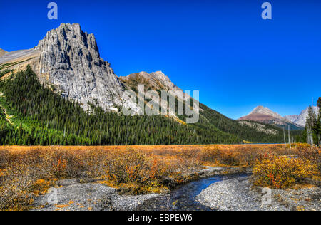 Scenic Landscapes of a high mountain valley and golden Larch Trees, Burstall Pass area of Kananaskis Country Alberta Canada on a Stock Photo