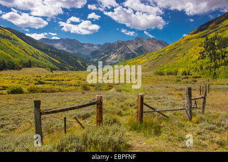 Fall scenery along Castle Creek Road in the White River National Forest near Aspen Colorado Stock Photo