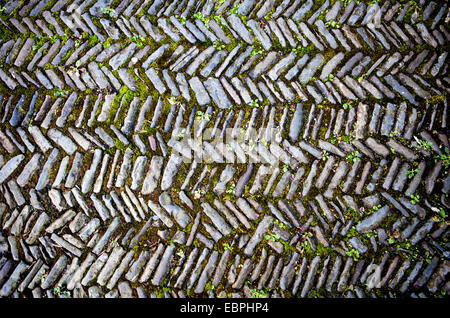 Old road, pavement with a herringbone pattern, Germany, Europe, Alter Weg, Pflasterung im Fischgrätmuster, Deutschland, Europa Stock Photo