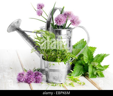 Various fresh herbs isolated on a white background. Selective focus Stock Photo