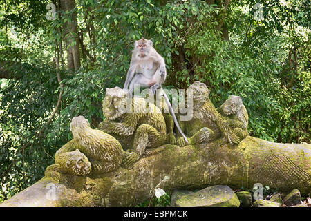 Sacred Monkey Forest, Ubud, Bali, Indonesia, Southeast Asia, Asia Stock Photo