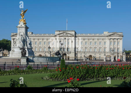 Geraniums at Buckingham Palace, London, England, United Kingdom, Europe