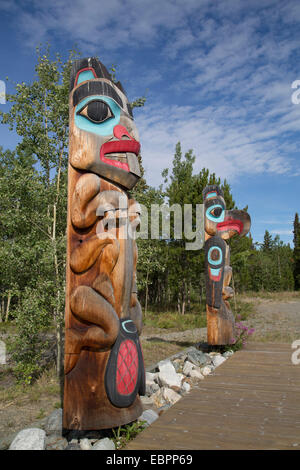 Totem poles with beaver image in the foreground, Teslin Tlingit Heritage Center, Teslin, Yukon, Canada, North America Stock Photo