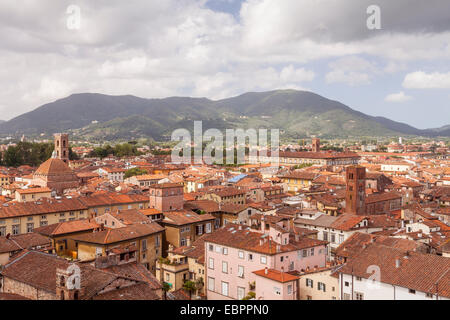 The rooftops of the historic centre of Lucca, Tuscany, Italy, Europe Stock Photo