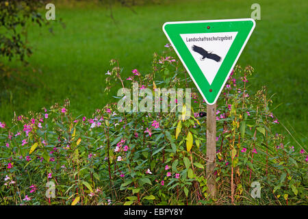 Himalayan balsam, Indian balsam, red jewelweed, ornamental jewelweed, policeman's helmet (Impatiens glandulifera), flowering at the edge of a nature reserve area with nature reserve sign, Germany, Hesse Stock Photo