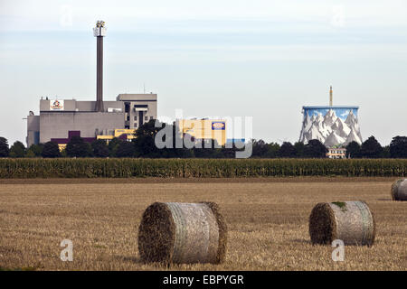 bales of stray on stubble field, former nuclear reactor in background, Germany, North Rhine-Westphalia, Kalkar Stock Photo