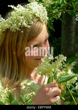 European black elder, Elderberry, Common elder (Sambucus nigra), girl with elderflowers coronal, Germany Stock Photo