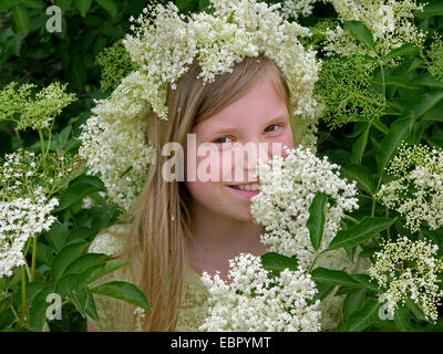 European black elder, Elderberry, Common elder (Sambucus nigra), girl with elderflowers coronal, Germany Stock Photo