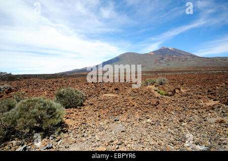 Pico del Teide Vulcano at El Teide national park in Tenerife (Spain) Stock Photo
