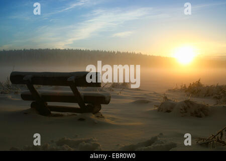 bench at a lake in winter at sunset, Germany, Saxony, Muldenberg Stock Photo