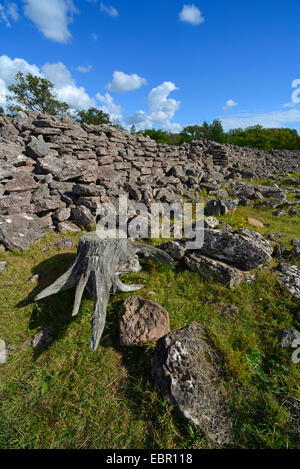 ruins of castle Ismantorp on Oeland, Sweden, Oeland Stock Photo