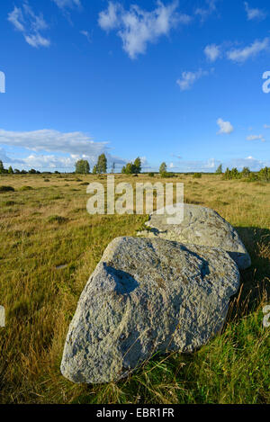 rock at Stora Alvaret on Oeland, Sweden, Oeland Stock Photo