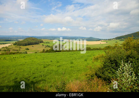 low mountains landscape of Rhoen, Germany, Thueringen, Rhoen, Hohe Geba Stock Photo