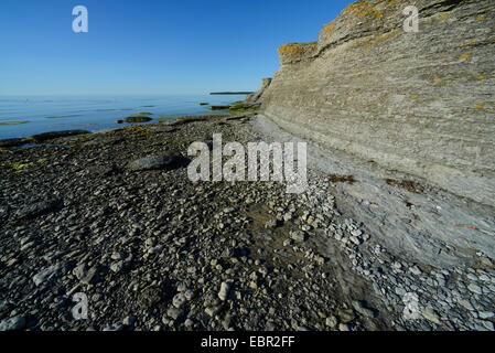 Byrum's raukar, shell limestone stacks, Sweden, Oeland, Byrum Raukar Stock Photo