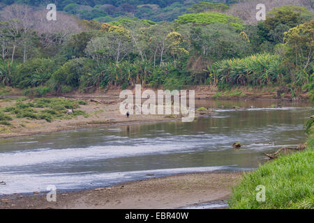 Rio Tarcoles near the water mouth into the Pacific Ocean, Costa Rica, Rio Tarcoles Stock Photo