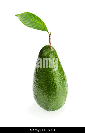 Ripe Green Avocado with Leaves Isolated on White Background. Closeup. Stock Photo