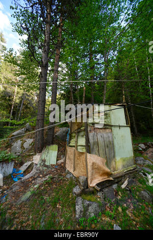 forest latrine at the National Park Pirin, Bulgaria, Bulgaria, Pirin-Gebirge, Blagoewgrad, Nationalpark Pirin Stock Photo