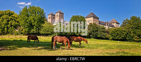 domestic horse (Equus przewalskii f. caballus), horses grazing in front of the Benedictine monastery Gerleve, Germany, North Rhine-Westphalia, Billerbeck Stock Photo