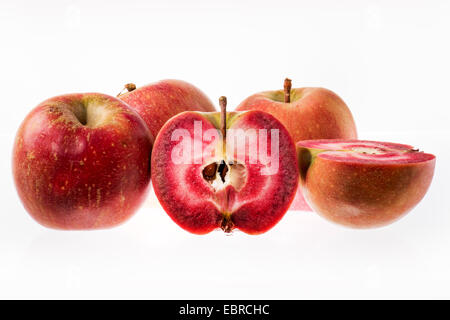 continuous red apple breeding new Stock Photo - Alamy