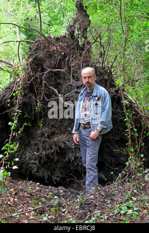 man standing in front of root system of a disrooted birch, storm front Ela at 2014-06-09, Germany, North Rhine-Westphalia, Ruhr Area, Essen Stock Photo