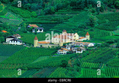 Goldrain Castle in wine-growing district, Italy, South Tyrol, Vinschgau Stock Photo