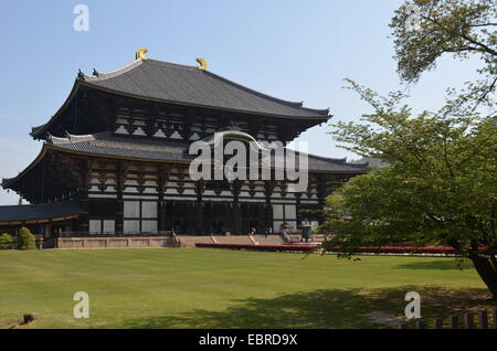 This image was captured in Nara, Japan. Stock Photo