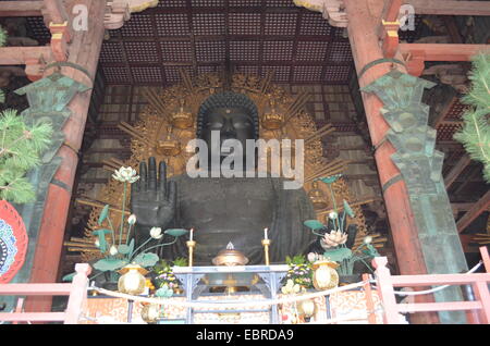 This image was captured in Nara, Japan. Stock Photo