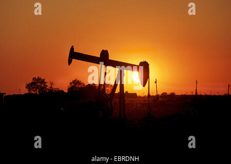 pumpjack in sunset, USA, California Stock Photo