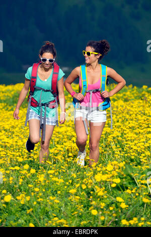 two attractive young women walking through blooming dandelion meadow, France, Savoie, Vanoise National Park Stock Photo