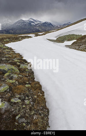 flurry of snow in mountain scenery of Rondane National Park, Norway, Hedmark, Hedmark Fylke, Rondane National Park Stock Photo