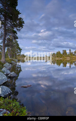 clouds mirroring in a lake, Sweden, Haerjedalen, Rogen Naturreservat Stock Photo