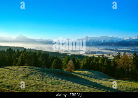 morning mist over the foothills of the Alps around the Hopfensee, view from Senkelekopf, Germany, Bavaria, Oberbayern, Upper Bavaria, Ostallgaeu Stock Photo