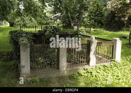 untended, old grave on graveyeard in Neureetz, Germany, Brandenburg, Neureetz Stock Photo