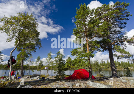 camping at a lakefront, Sweden, Haerjedalen, Rogen Naturreservat Stock Photo