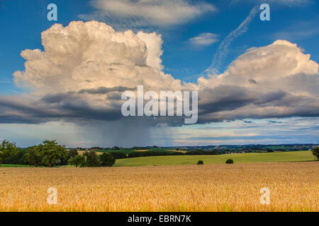 downpour, Cumulus congestus praecipitatio, above field landscape, Germany, Bavaria, Isental Stock Photo