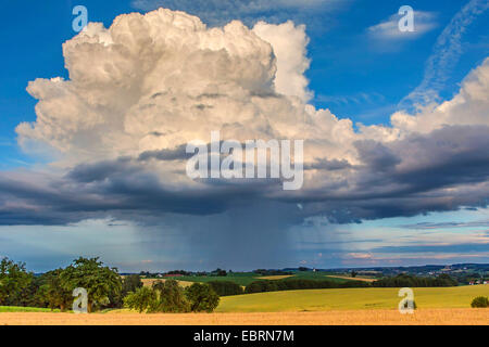 downpour, Cumulus congestus praecipitatio, Germany, Bavaria, Isental Stock Photo