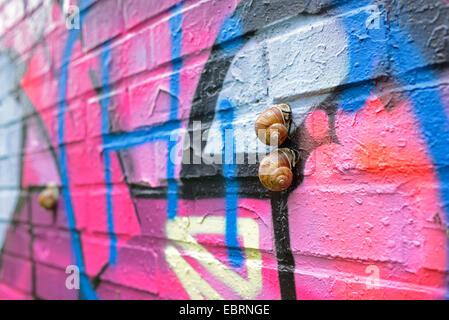 snails on a colourful graffiti wall , Germany, Bavaria, Stein Stock Photo