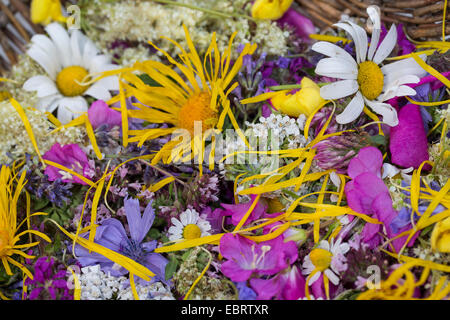eatable petals in a basket, Germany Stock Photo